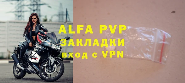 индика Арсеньев