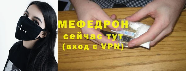 индика Арсеньев