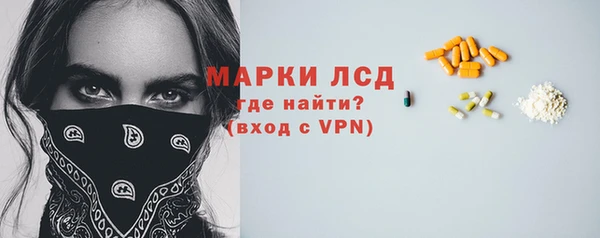 индика Арсеньев
