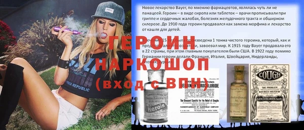 индика Арсеньев