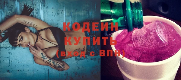 индика Арсеньев