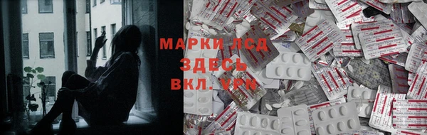 индика Арсеньев