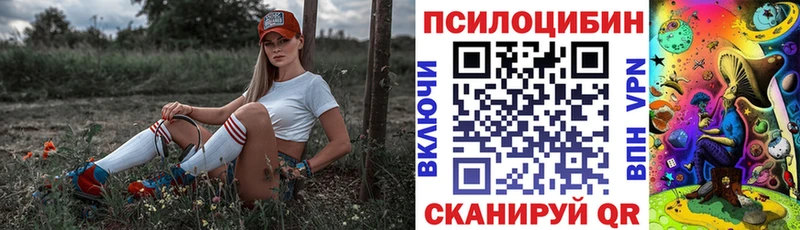 МЕГА ссылка  Курган  Псилоцибиновые грибы MAGIC MUSHROOMS 